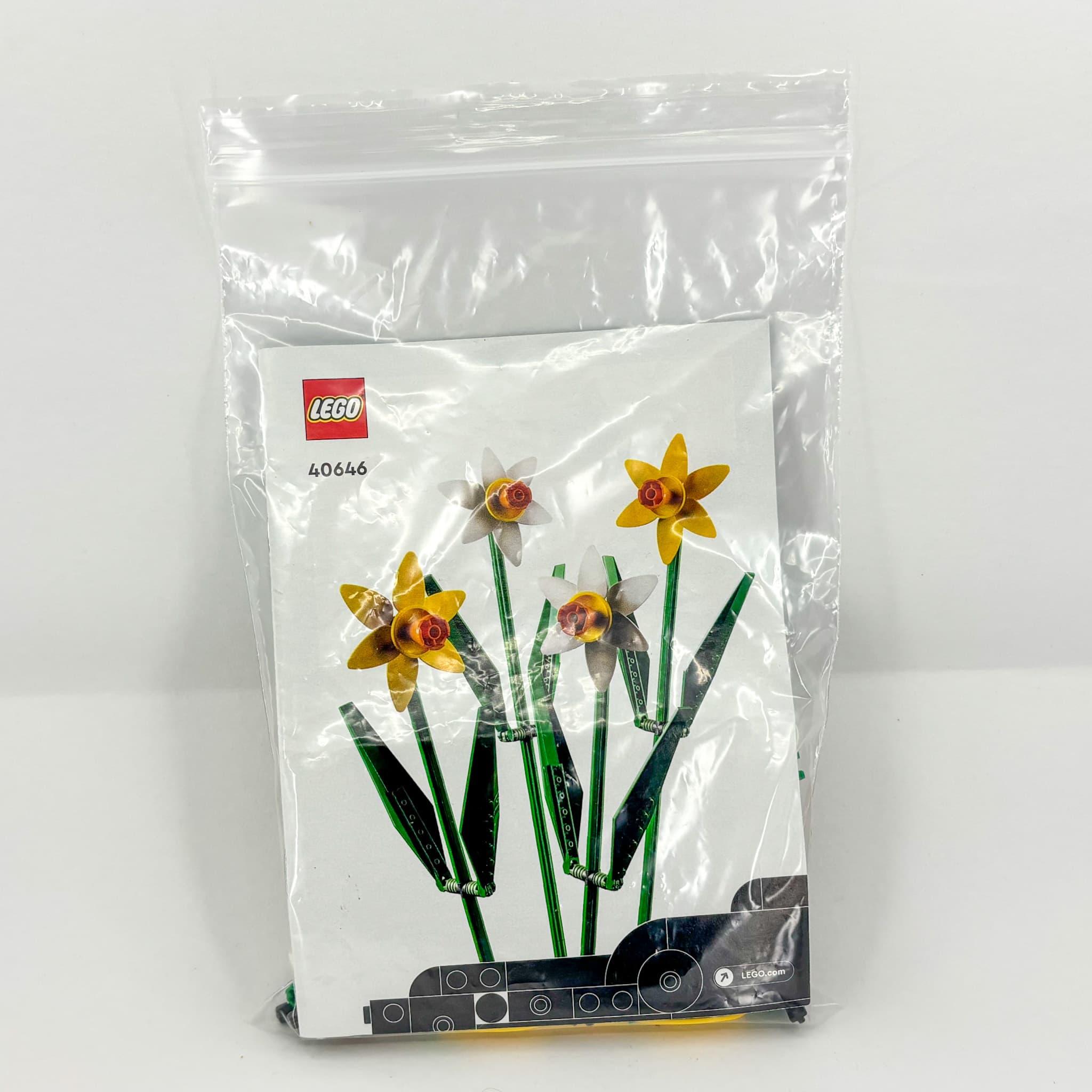 Daffodils